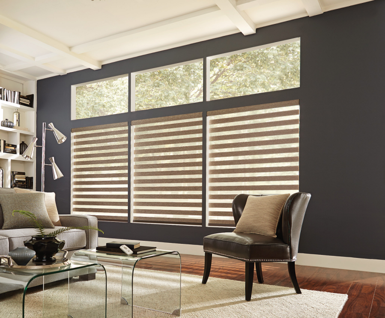 Graber Layered Shades zebra
