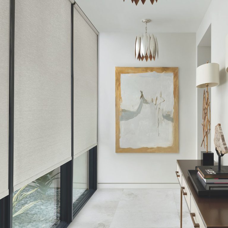 Roller Shades Chicago Blinds and Shades motorization