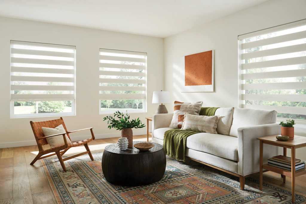 Chicago Blinds and Shades Zebre Layered-shades-m » Chicago Blinds and Shades » Chicago Blinds and Shades Chicago Blinds and Shades Zebre Layered-shades-m